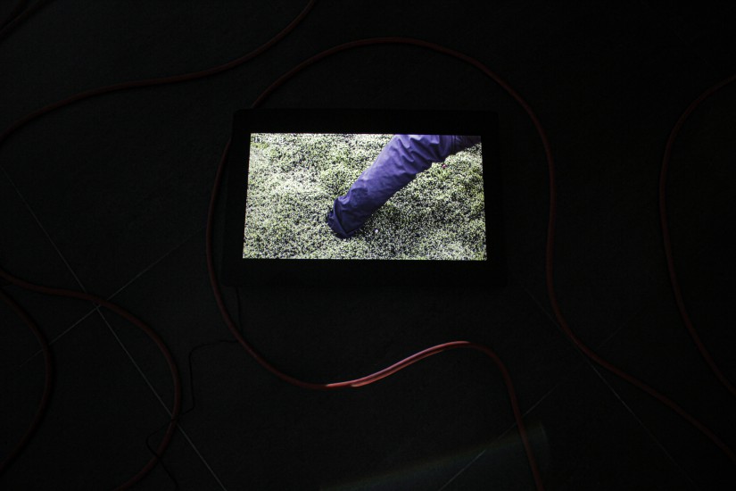 The Island | installation